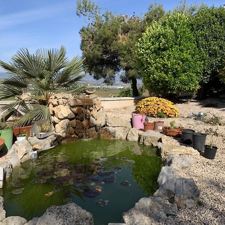 Apartamento Entero Con Vistas Panoramicas Avinyonet del Penedes 外观 照片